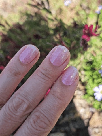 Animated view of semi-cured gel nail wraps in sheer pink showing cat-eye shimmer shifting under light, shown on fair skin wearing gold jewelry