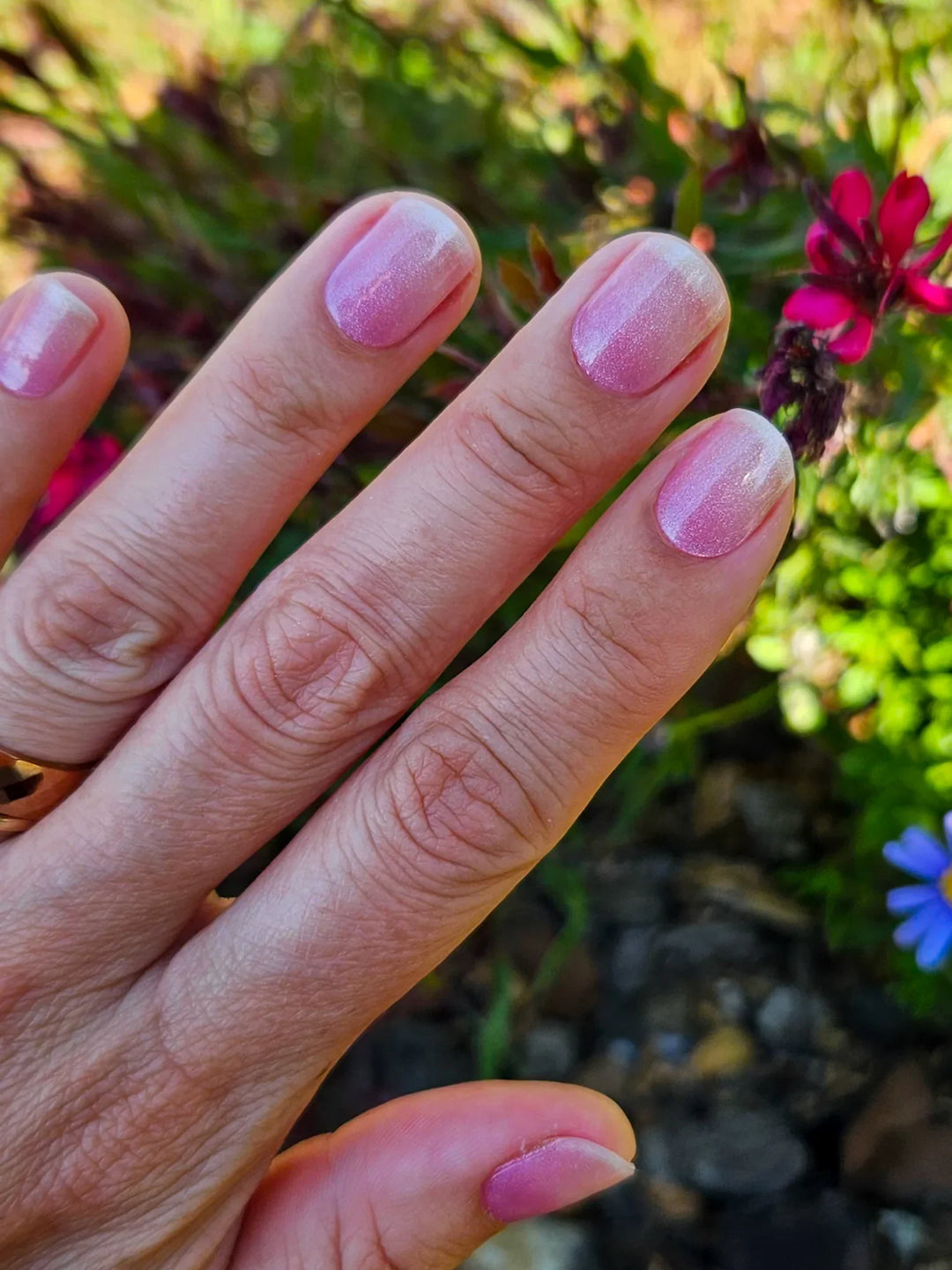 Semi-cured gel nail wraps in translucent pink with a fine shimmer, shown on light-medium skin under natural daylight.