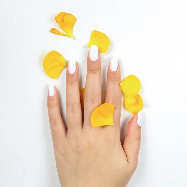 Semi-cured white gel nail wraps with a creamy, high-gloss finish on light-to-medium skin tone, styled with yellow rose petals on a white background.