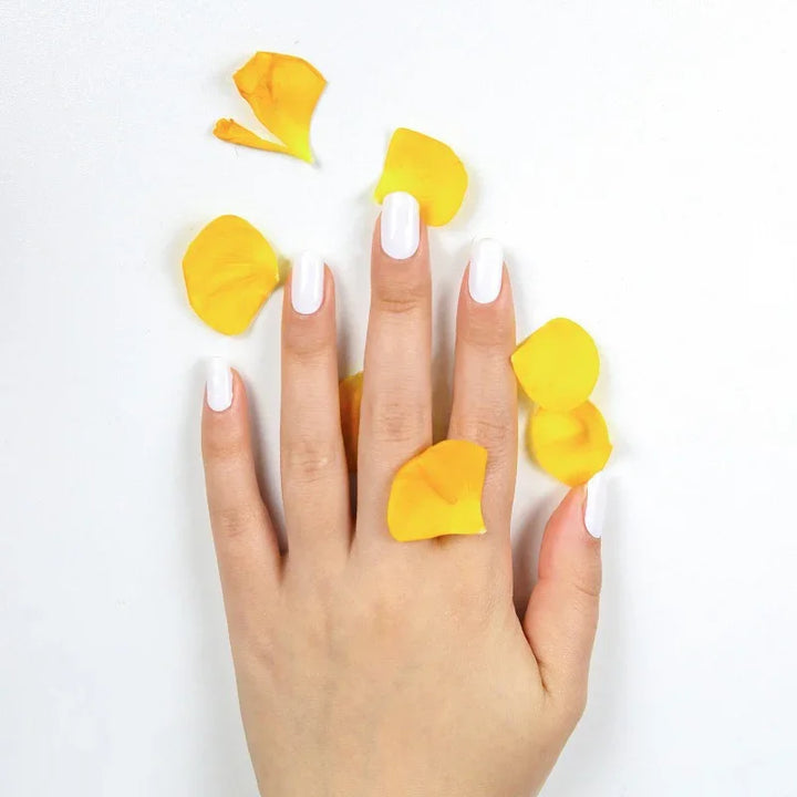 Semi-cured white gel nail wraps with a creamy, high-gloss finish on light-to-medium skin tone, styled with yellow rose petals on a white background.