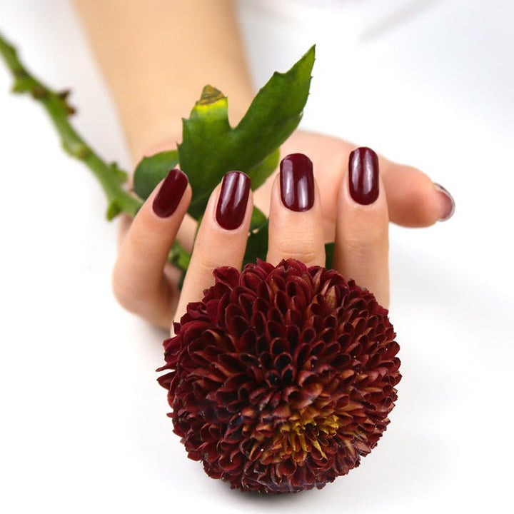 Burgundy Red Nail Twin Set